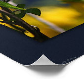 Vlindermoment Canvas -24x20 -of kleiner Poster (Hoek)