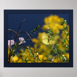 Vlindermoment Canvas -24x20 -of kleiner Poster