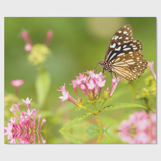 vlindermot cadeaupapier (Vlak)