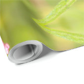 vlindermot cadeaupapier (Rol Hoek)