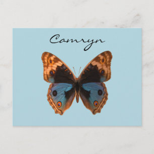 Vlindermot Insect Gepersonaliseerde naam Briefkaart