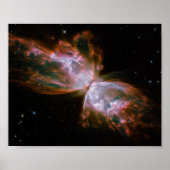 Vlindernevel 10x8 ruimtefoto poster (Voorkant)