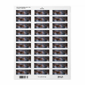 Vlindernevel Etiket (Full Sheet)