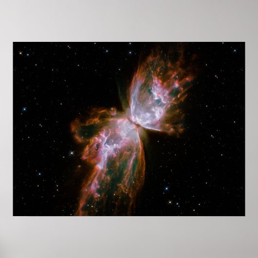 Vlindernevel Poster (Voorkant)