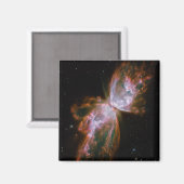 Vlindernevelmagneet Magneet (Voorkant / Achterkant)