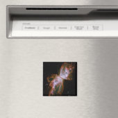 Vlindernevelmagneet Magneet (Insitu (Vaatwasser))