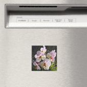 Vlinderorchideeën - roze magneet (Insitu (Vaatwasser))