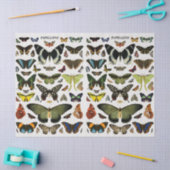 vlinderpatrooncollage ontkoppeling tissuepapier (Craft)