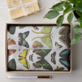 vlinderpatrooncollage ontkoppeling tissuepapier (Geschenk)