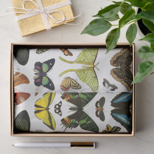 vlinderpatrooncollage ontkoppeling tissuepapier (Geschenk)