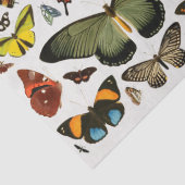 vlinderpatrooncollage ontkoppeling tissuepapier (Detail)