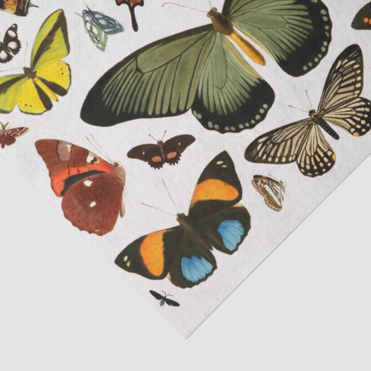 vlinderpatrooncollage ontkoppeling tissuepapier (Detail)