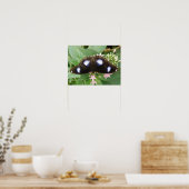 Vlinderprint met blauwe stippen poster (Keuken)
