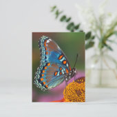 Vlinderprofiel op een bloem briefkaart (Staand voorkant)