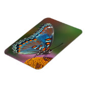 Vlinderprofiel op een bloem magneet (Linkerzijde)