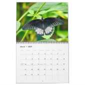 Vlinders 12 Maanden Muurkalender 2026 Kalender (Mar 2027)