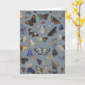 Vlinders, 1842 kaart (Gele Bloem)