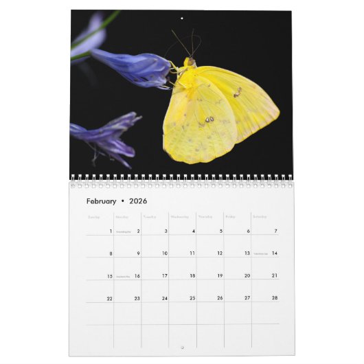Vlinders 2025 kalender (Feb 2026)