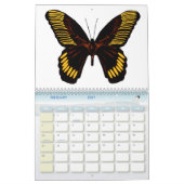 Vlinders 2026 Een Jaar Kalender (Feb 2027)
