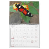 "VLINDERS" 2026 KALENDER (Mar 2027)
