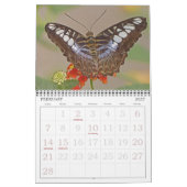 "VLINDERS" 2026 KALENDER (Feb 2027)