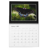 Vlinders 2026 Kalender door Tom Minutolo (Jan 2027)