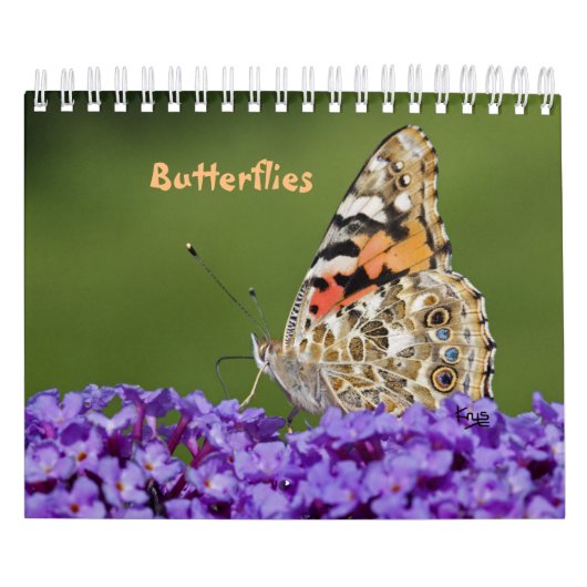 Vlinders Agenda Kalender (Hoes)