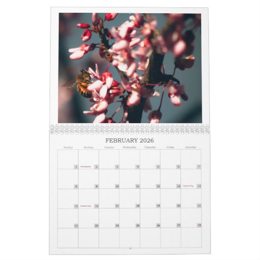 Vlinders, bijen en andere politieagenten kalender (Feb 2026)