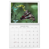 Vlinders, bijen en andere politieagenten kalender (Jan 2026)