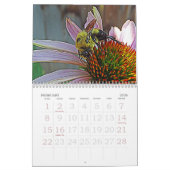 Vlinders & Bijen Kalender (Feb 2026)