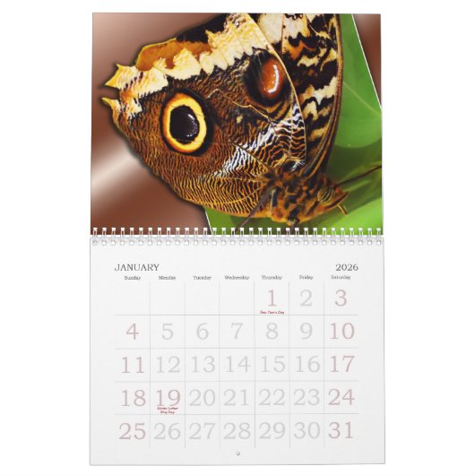 Vlinders & Bijen Kalender (Jan 2026)