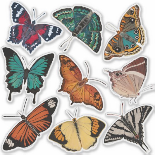 Vlinders (Blad 3 Alfabet van Vlinders) Sticker (Voorkant)