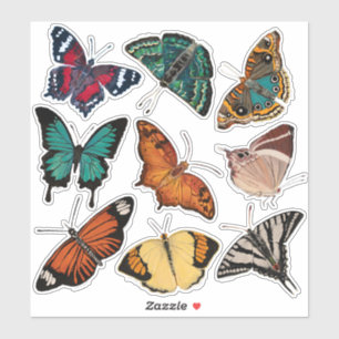 Vlinders (Blad 3 Alfabet van Vlinders) Sticker