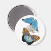 Vlinders - Blauw Magneet (Voorkant / Achterkant)