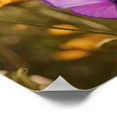 *~* Vlinders Bloemen Kitten 5:4  Katje Kat AP68 Poster (Hoek)