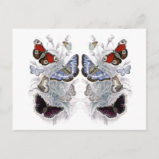 vlinders briefkaart (Voorkant)