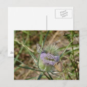 Vlinders Briefkaart (Voorkant / Achterkant)