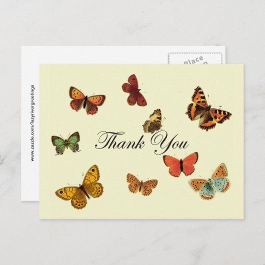 Vlinders dank u briefkaart (Voorkant / Achterkant)
