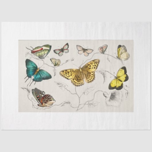 Vlinders Decoupage papier (Voorkant)