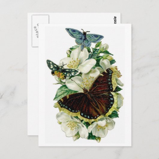 vlinders en bloemen briefkaart (Voorkant / Achterkant)