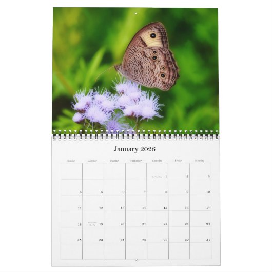 Vlinders en bloemen op de Texaanse Natuur kalender (Jan 2026)