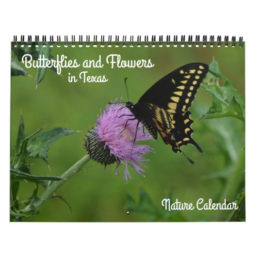 Vlinders en bloemen op de Texaanse Natuur kalender (Hoes)