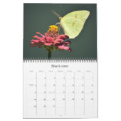 Vlinders en bloemen op de Texaanse Natuur kalender (Mar 2026)