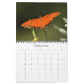 Vlinders en bloemen op de Texaanse Natuur kalender (Feb 2026)