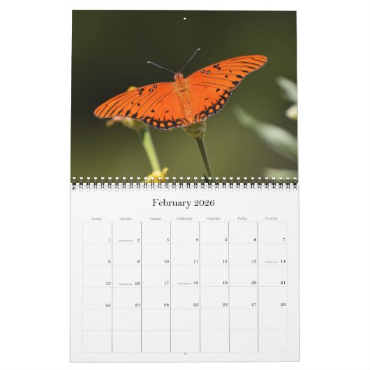Vlinders en bloemen op de Texaanse Natuur kalender (Feb 2026)
