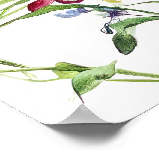 Vlinders en bloesems poster (Hoek)