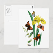 Vlinders en gele iris briefkaart (Voorkant / Achterkant)
