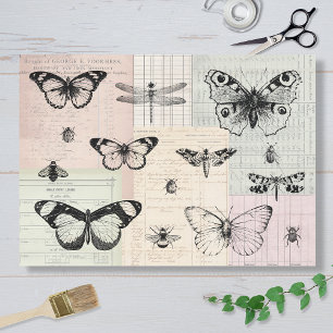 Vlinders en insecten tissuepapier