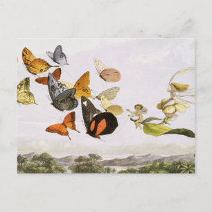  vlinders en lichte oude illustratie briefkaart