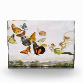  vlinders en lichte oude illustratie fotoblokken (Voorkant)